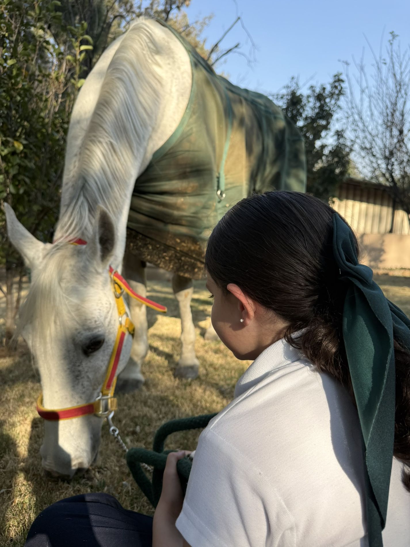 Mujer conviviendo en calma con un caballo, sin montarlo