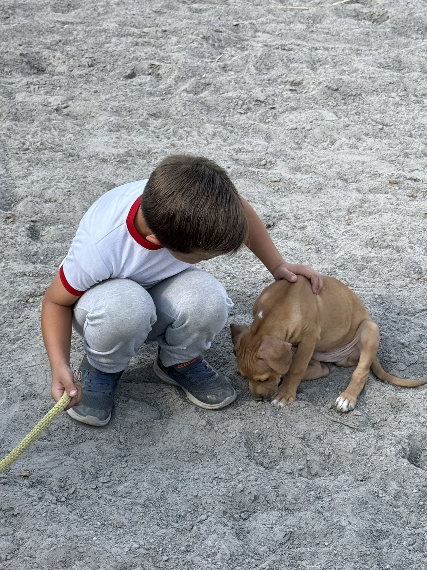 Fátima Kalis junto a los perros de terapia de Vínculo Animal