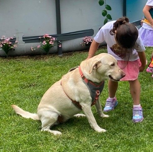 Fátima Kalis junto a los perros de terapia de Vínculo Animal