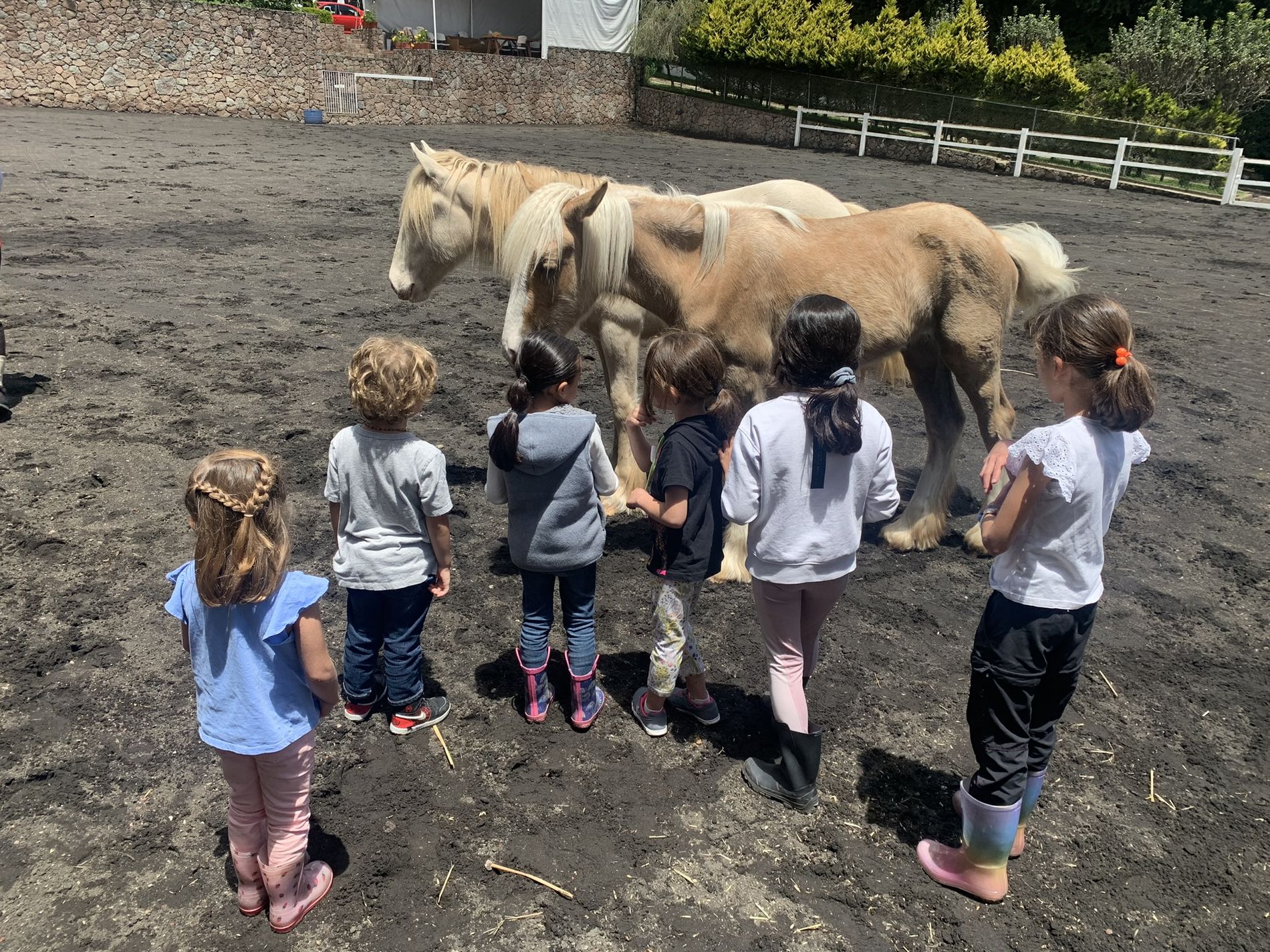 Niña en intervención asistida con caballos de Vínculo Animal