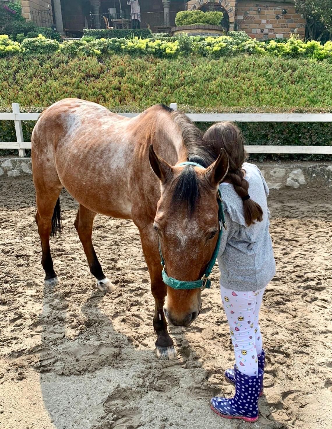 Intervención asistida con caballos de Vínculo Animal