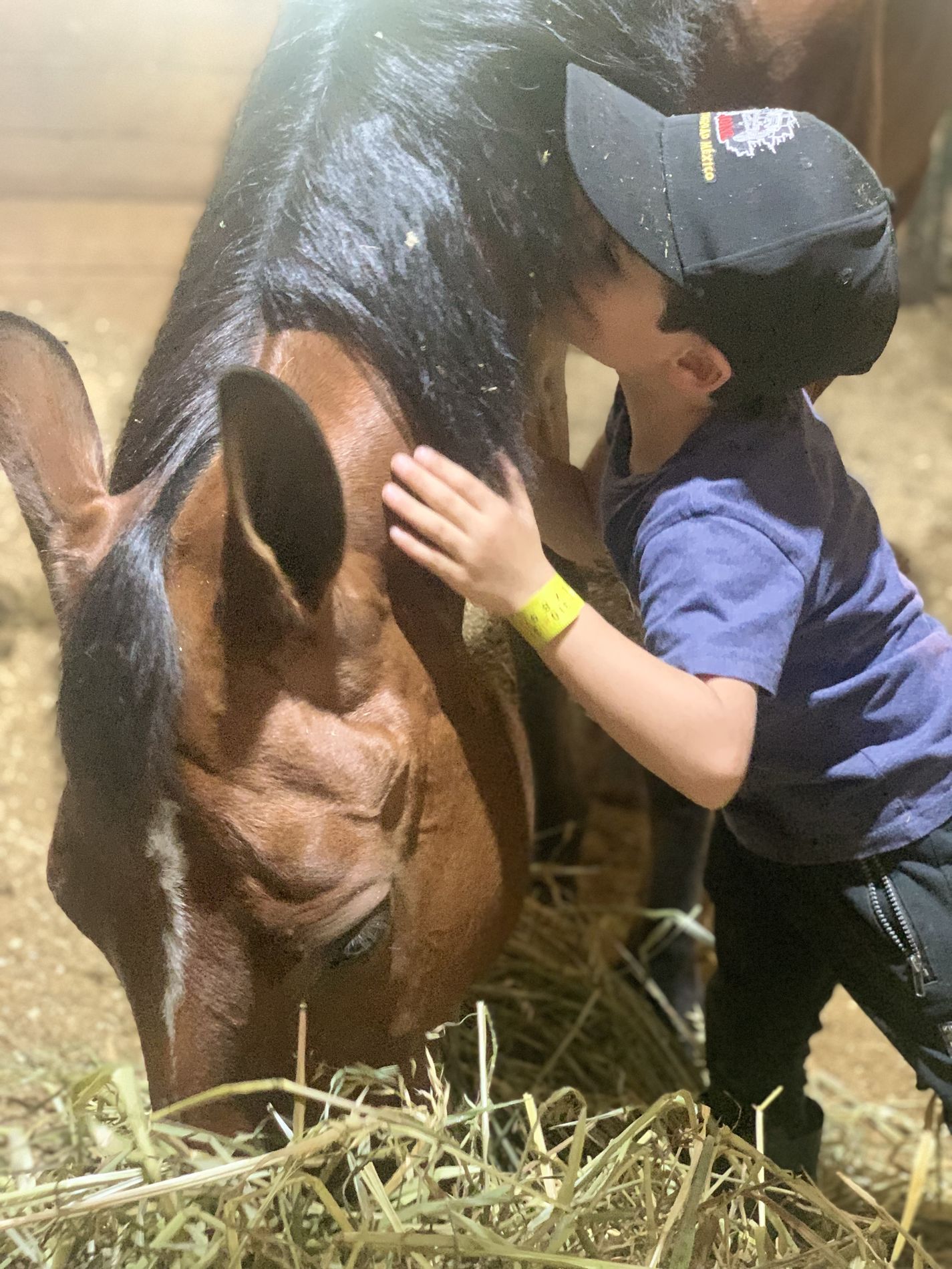 Niño en intervención asistida con caballos de Vínculo Animal