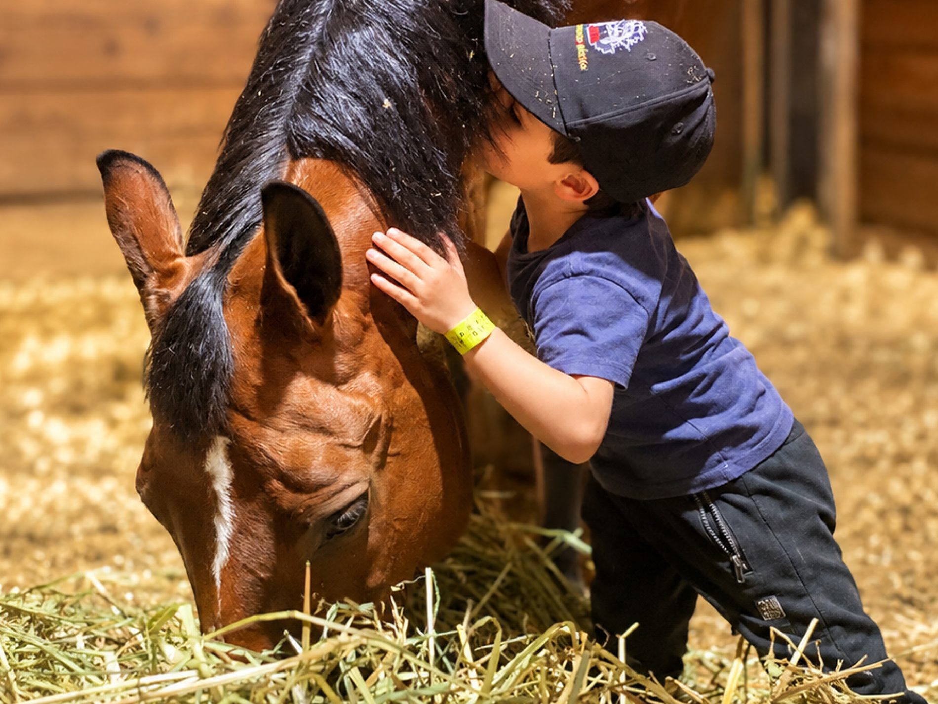 Niño en intervención asistida con caballos de Vínculo Animal